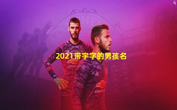 2021带宇字的男孩名