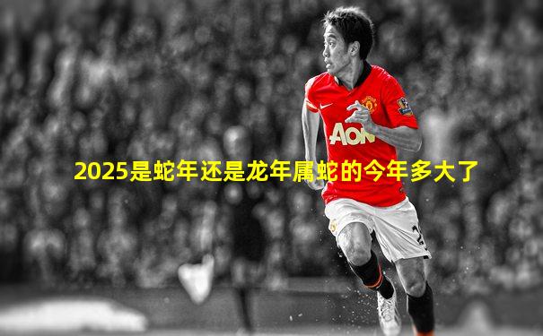 2025是蛇年还是龙年属蛇的今年多大了
