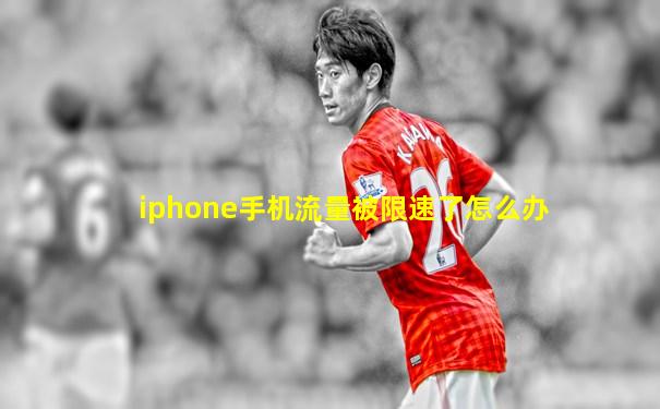 iphone手机流量被限速了怎么办