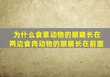 为什么食草动物的眼睛长在两边食肉动物的眼睛长在前面