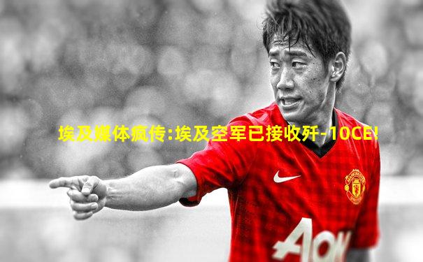 埃及媒体疯传:埃及空军已接收歼-10CE!