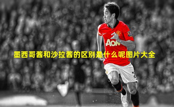 墨西哥酱和沙拉酱的区别是什么呢图片大全