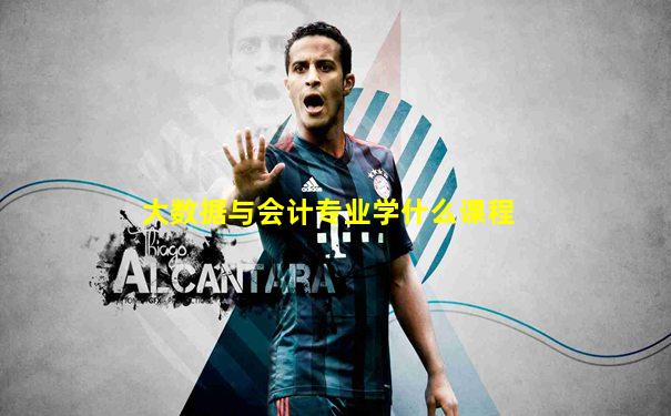 大数据与会计专业学什么课程