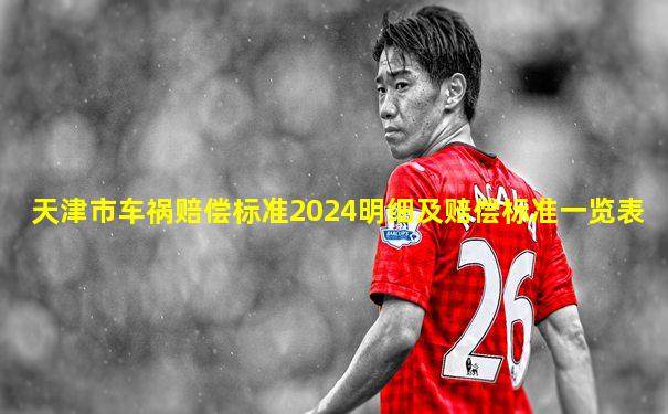 天津市车祸赔偿标准2024明细及赔偿标准一览表