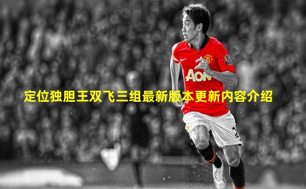 定位独胆王双飞三组最新版本更新内容介绍