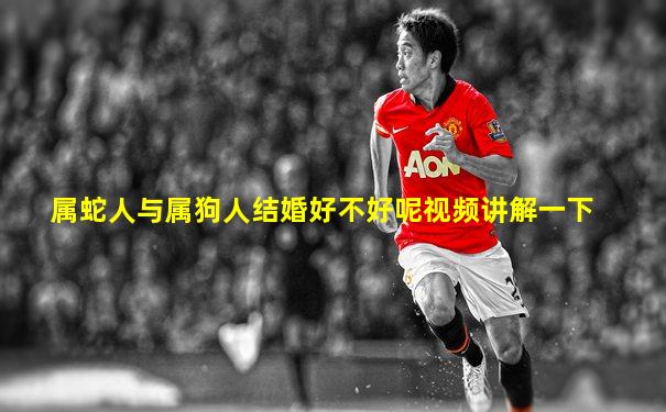 属蛇人与属狗人结婚好不好呢视频讲解一下
