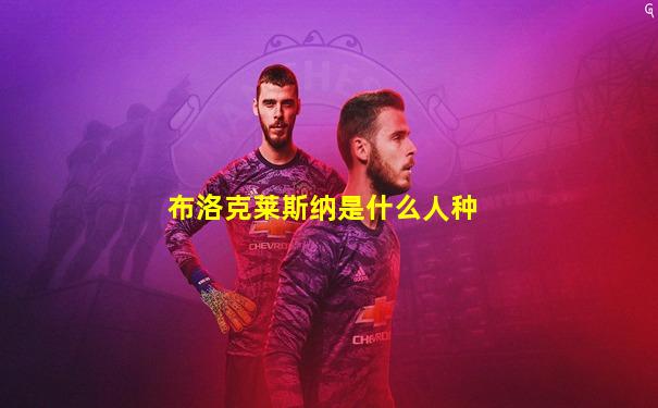 布洛克莱斯纳是什么人种
