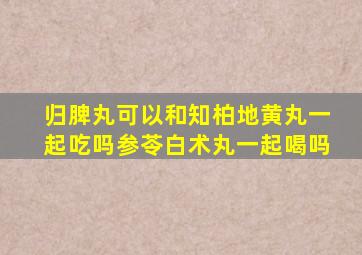 归脾丸可以和知柏地黄丸一起吃吗参苓白术丸一起喝吗