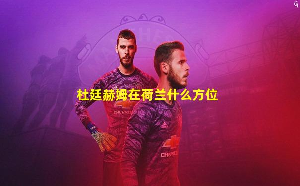 杜廷赫姆在荷兰什么方位