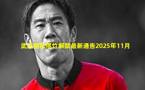 武汉烟花爆竹解禁最新通告2025年11月