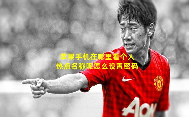 苹果手机在哪里看个人热点名称呢怎么设置密码