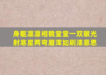 身躯凛凛相貌堂堂一双眼光射寒星两弯眉浑如刷漆意思