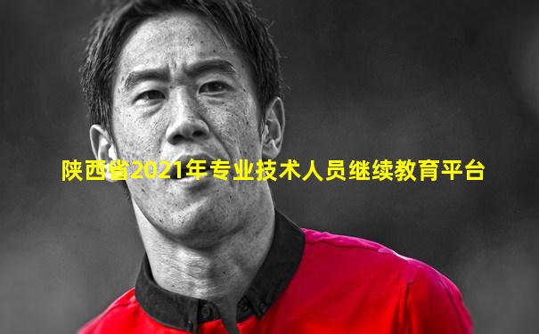 陕西省2021年专业技术人员继续教育平台