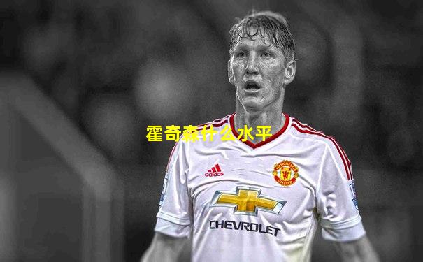 霍奇森什么水平