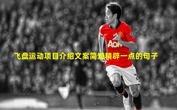飞盘运动项目介绍文案简短精辟一点的句子