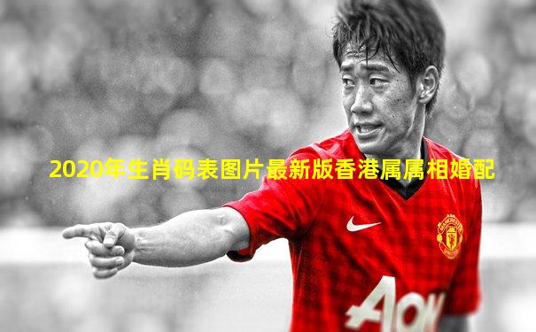 2020年生肖码表图片最新版香港属属相婚配