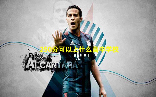 250分可以上什么高中学校
