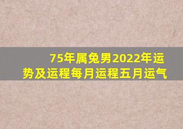 75年属兔男2022年运势及运程每月运程五月运气