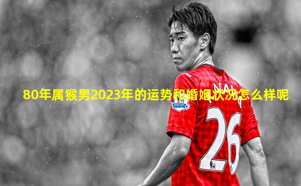 80年属猴男2023年的运势和婚姻状况怎么样呢