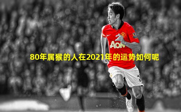 80年属猴的人在2021年的运势如何呢