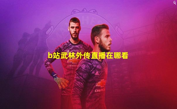 b站武林外传直播在哪看