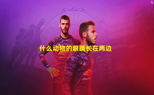 什么动物的眼睛长在两边