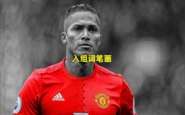 入组词笔画