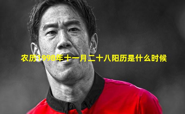 农历1998年十一月二十八阳历是什么时候