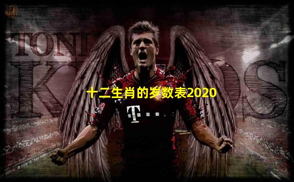 十二生肖的岁数表2020