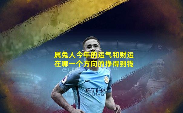 属兔人今年的运气和财运在哪一个方向的挣得到钱