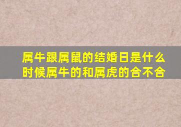 属牛跟属鼠的结婚日是什么时候属牛的和属虎的合不合