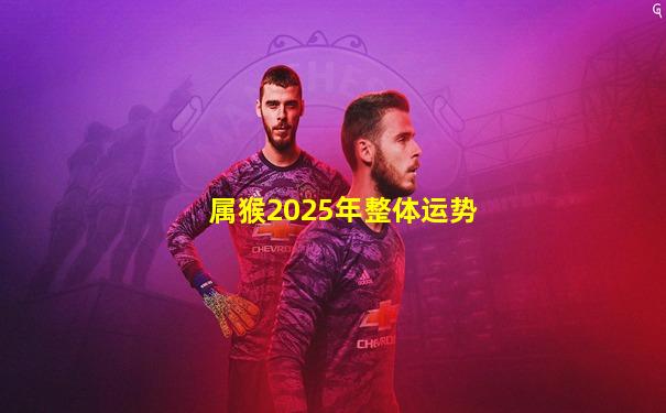 属猴2025年整体运势