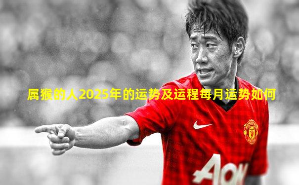 属猴的人2025年的运势及运程每月运势如何