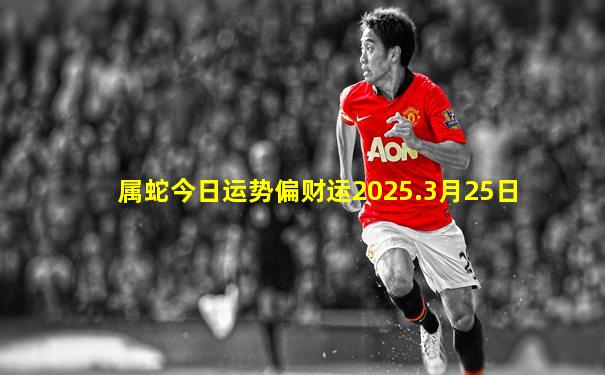 属蛇今日运势偏财运2025.3月25日