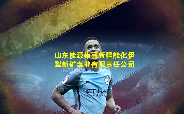 山东能源集团新疆能化伊犁新矿煤业有限责任公司