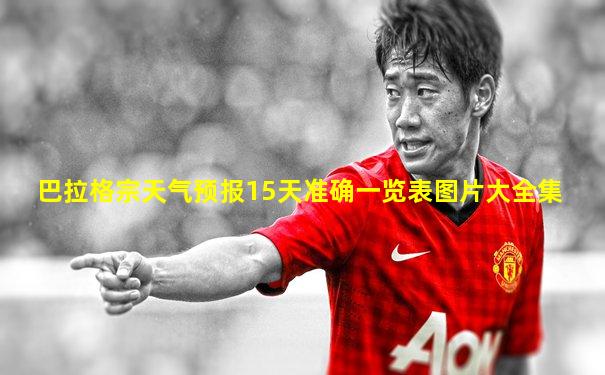 巴拉格宗天气预报15天准确一览表图片大全集