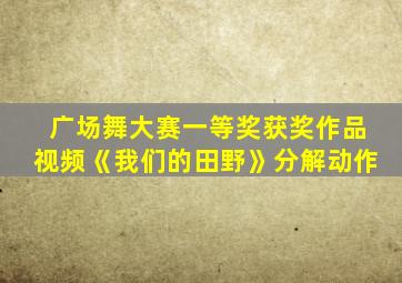 广场舞大赛一等奖获奖作品视频《我们的田野》分解动作