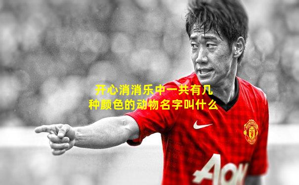 开心消消乐中一共有几种颜色的动物名字叫什么