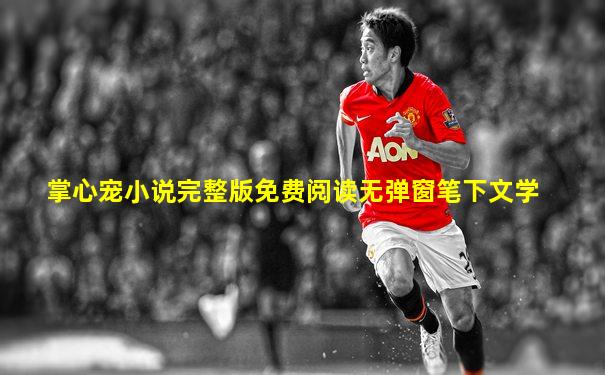 掌心宠小说完整版免费阅读无弹窗笔下文学