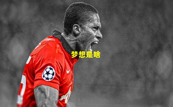 梦想是啥