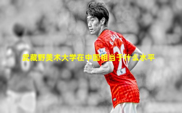 武藏野美术大学在中国相当于什么水平