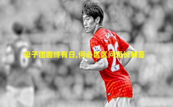 母子团圆终有日,何必区区问短长解签