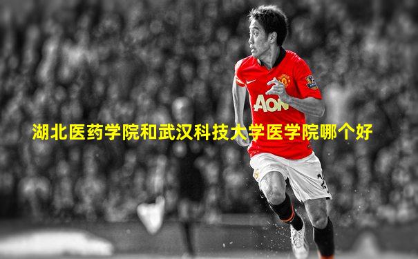 湖北医药学院和武汉科技大学医学院哪个好