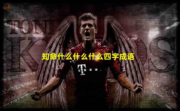 知命什么什么什么四字成语