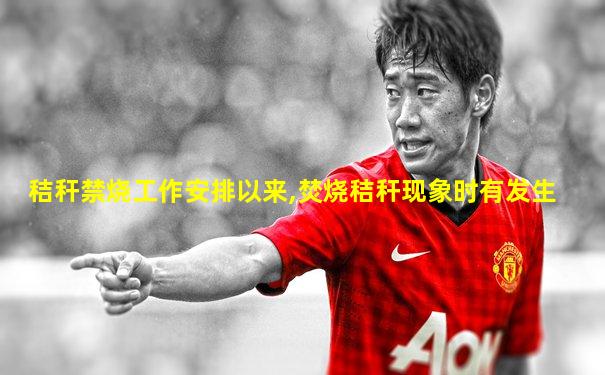 秸秆禁烧工作安排以来,焚烧秸秆现象时有发生