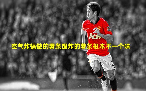 空气炸锅做的薯条跟炸的薯条根本不一个味