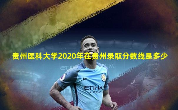 贵州医科大学2020年在贵州录取分数线是多少