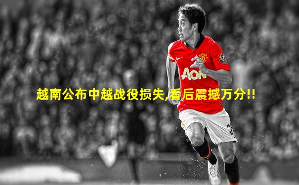 越南公布中越战役损失,看后震撼万分!!