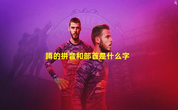 蹲的拼音和部首是什么字