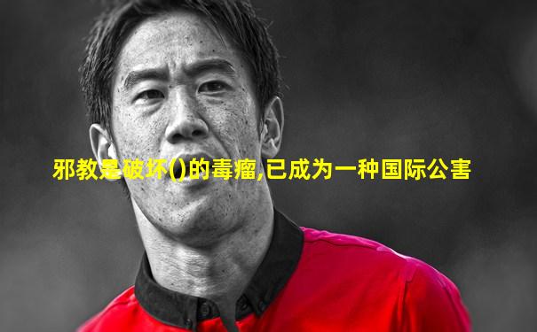 邪教是破坏()的毒瘤,已成为一种国际公害